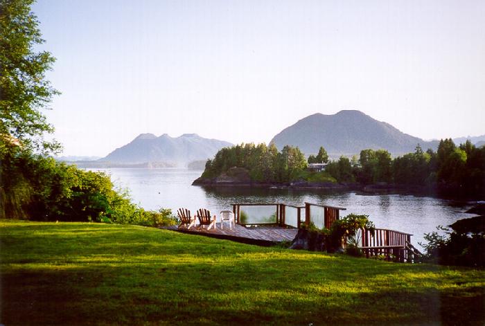 backyard.jpg (49611 bytes)