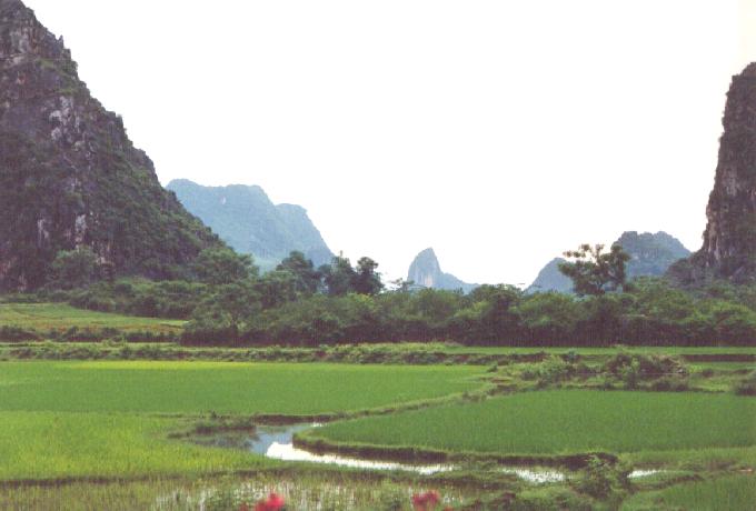 guiling1.jpg (35627 bytes)