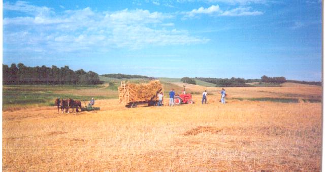 heyfield.jpg (35413 bytes)