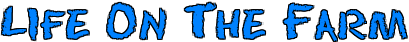 lof.gif (6865 bytes)