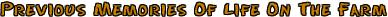 prevmemlof.gif (4744 bytes)